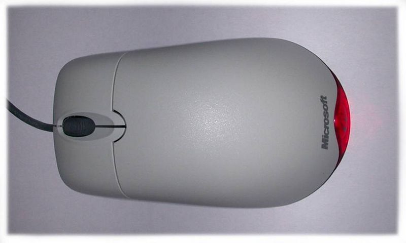 File:Mouse top1.jpg