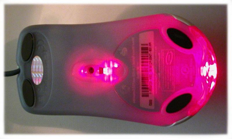 File:Mouse bottom1.jpg