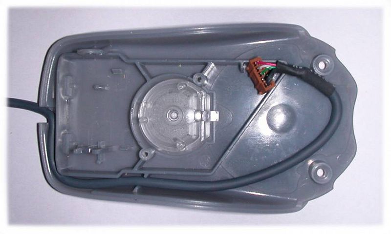 File:Mouse top3.jpg
