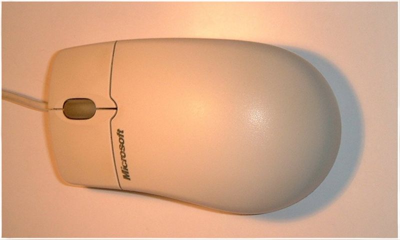 File:Mouse 1.jpg